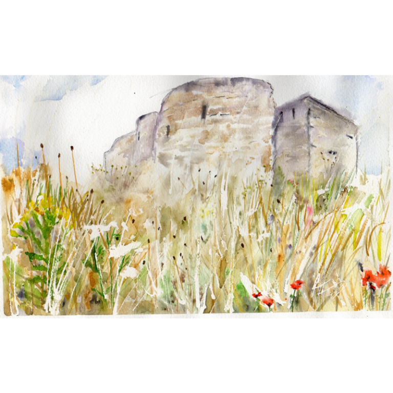 Clifford's Tower Flowers Lisa Empson